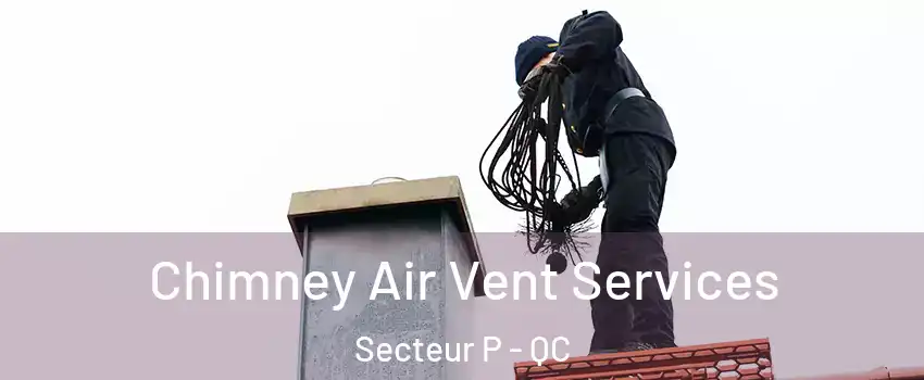 Chimney Air Vent Services Secteur P - QC