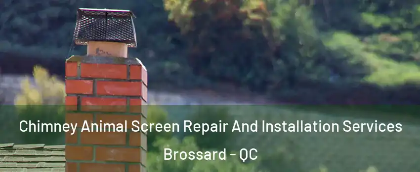 Chimney Animal Screen Repair And Installation Services Brossard - QC