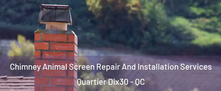  Chimney Animal Screen Repair And Installation Services Quartier Dix30 - QC