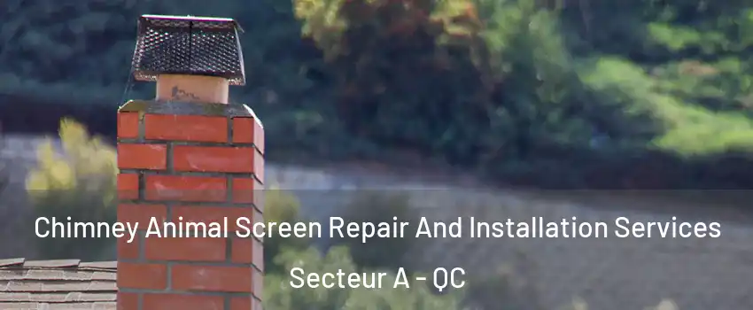  Chimney Animal Screen Repair And Installation Services Secteur A - QC