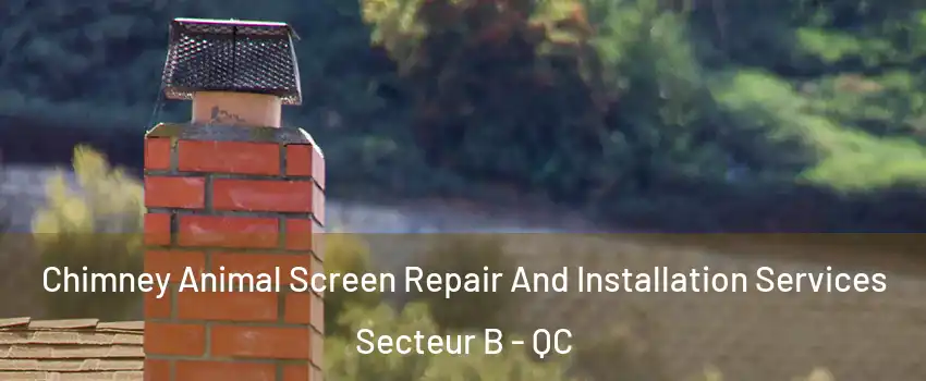  Chimney Animal Screen Repair And Installation Services Secteur B - QC