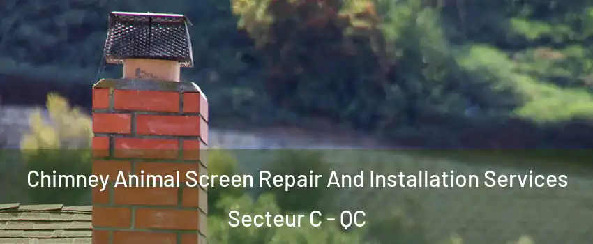  Chimney Animal Screen Repair And Installation Services Secteur C - QC