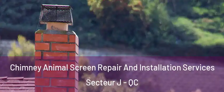  Chimney Animal Screen Repair And Installation Services Secteur J - QC