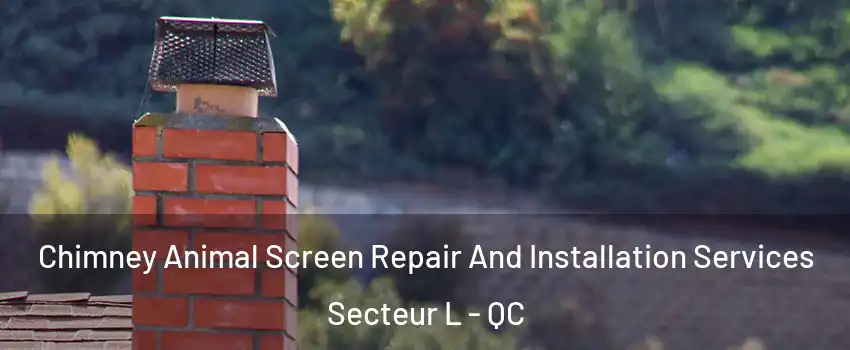  Chimney Animal Screen Repair And Installation Services Secteur L - QC