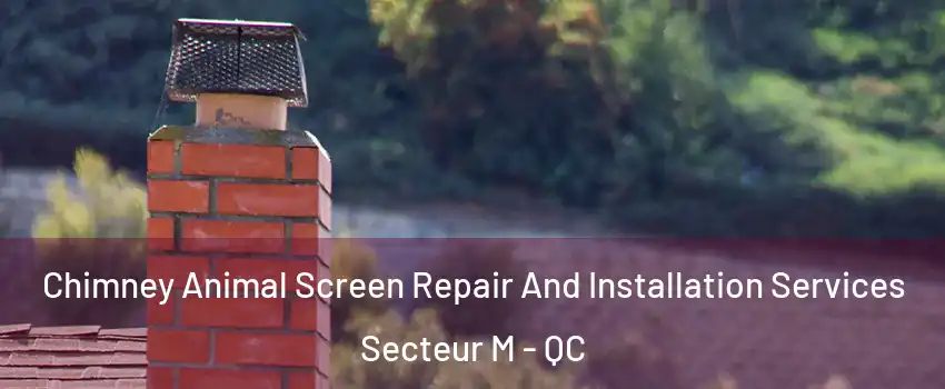  Chimney Animal Screen Repair And Installation Services Secteur M - QC