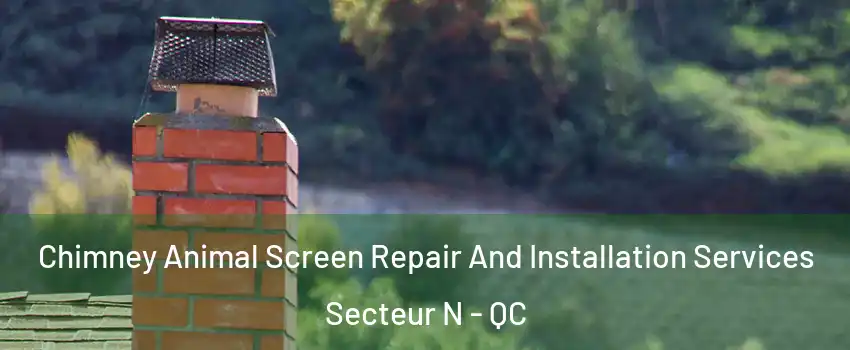  Chimney Animal Screen Repair And Installation Services Secteur N - QC