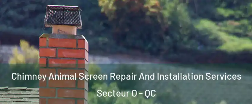  Chimney Animal Screen Repair And Installation Services Secteur O - QC