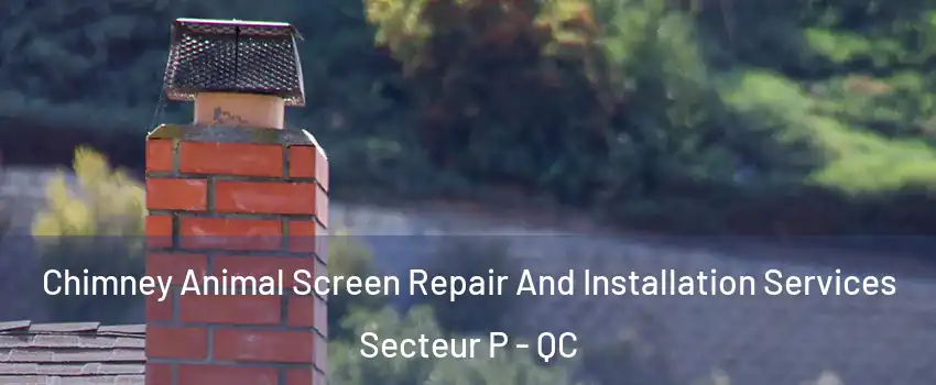  Chimney Animal Screen Repair And Installation Services Secteur P - QC