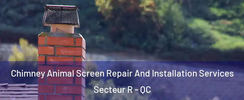 Chimney Animal Screen Repair And Installation Services Secteur R - QC