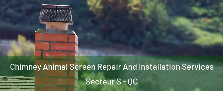  Chimney Animal Screen Repair And Installation Services Secteur S - QC