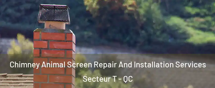  Chimney Animal Screen Repair And Installation Services Secteur T - QC