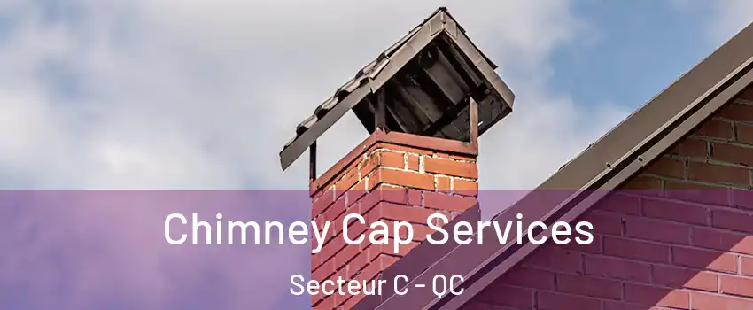 Chimney Cap Services Secteur C - QC