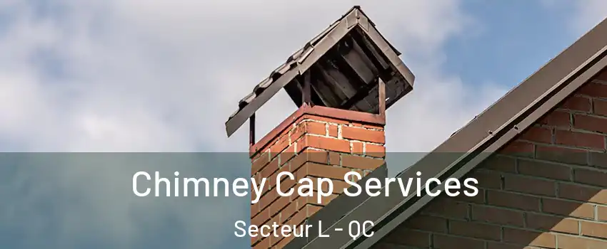  Chimney Cap Services Secteur L - QC