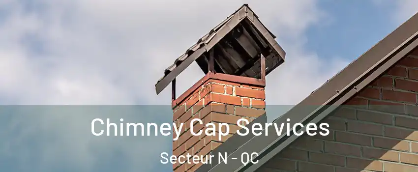  Chimney Cap Services Secteur N - QC