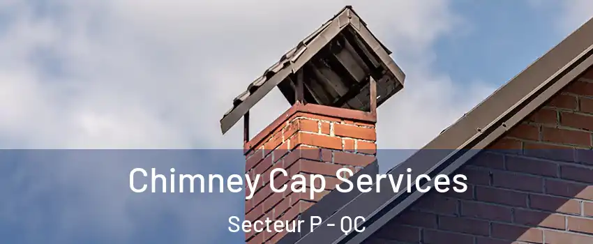  Chimney Cap Services Secteur P - QC