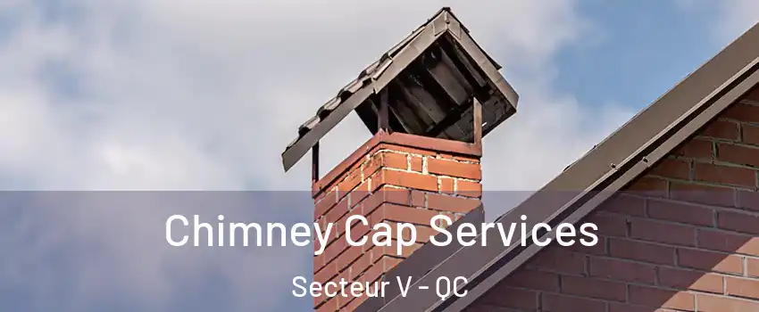  Chimney Cap Services Secteur V - QC