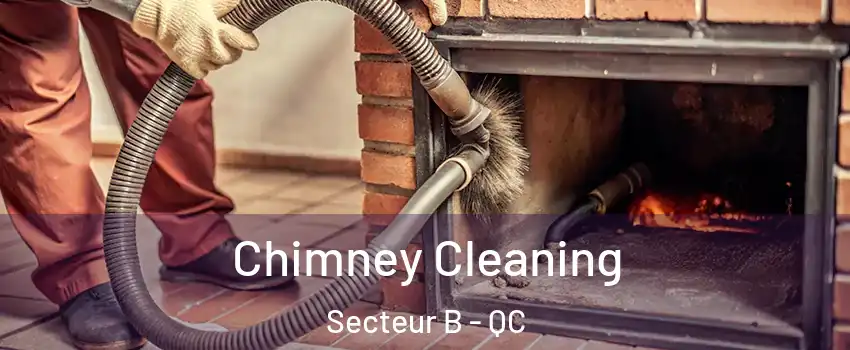  Chimney Cleaning Secteur B - QC