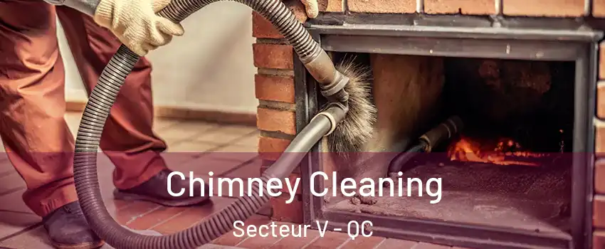  Chimney Cleaning Secteur V - QC