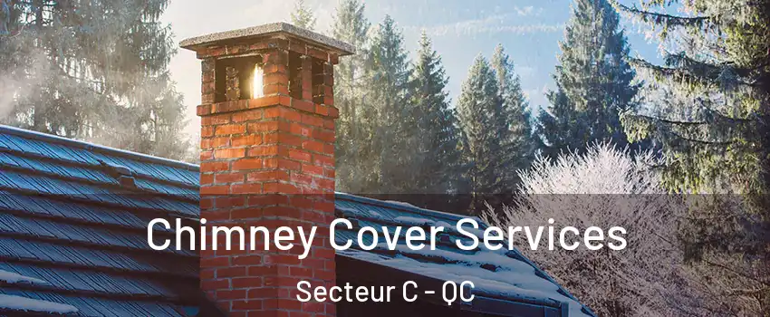 Chimney Cover Services Secteur C - QC