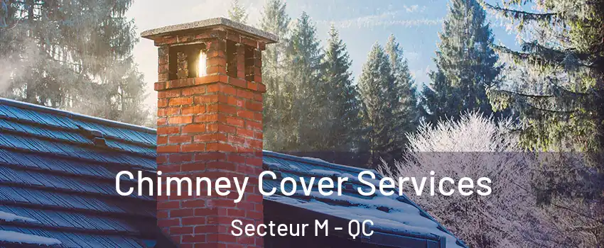  Chimney Cover Services Secteur M - QC