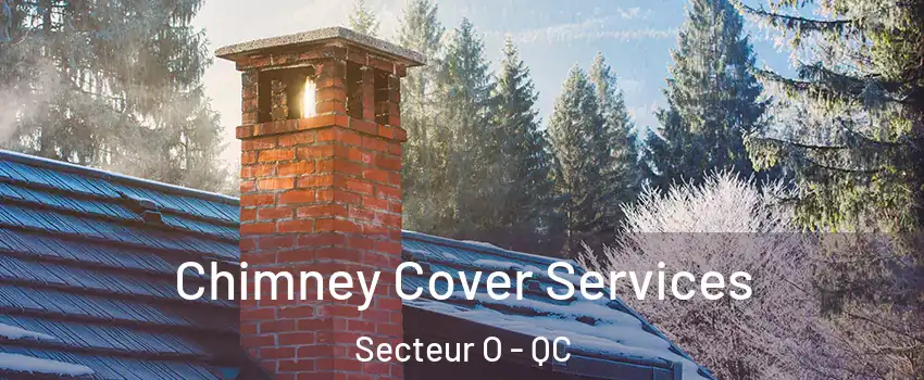  Chimney Cover Services Secteur O - QC