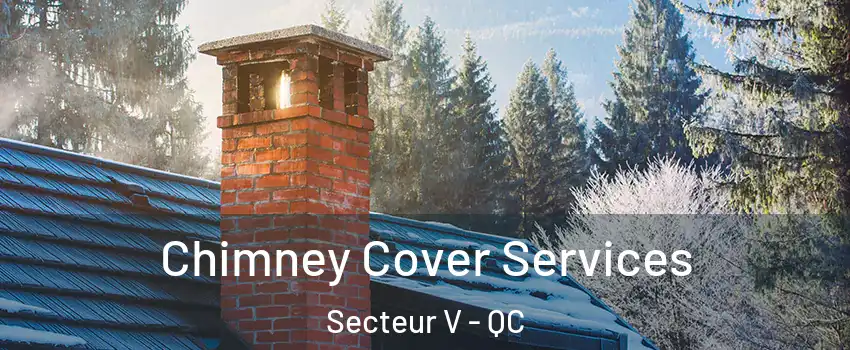  Chimney Cover Services Secteur V - QC