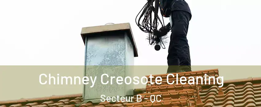 Chimney Creosote Cleaning Secteur B - QC