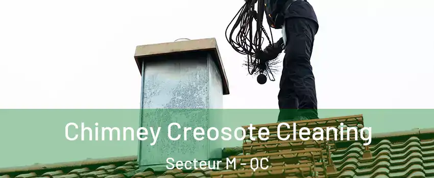 Chimney Creosote Cleaning Secteur M - QC