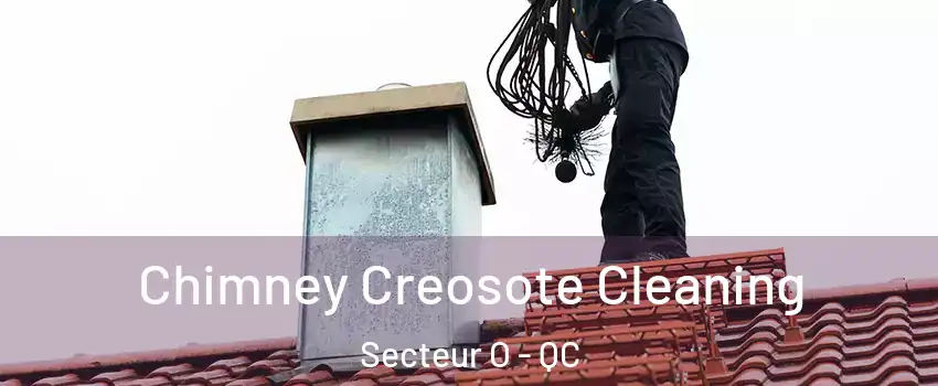 Chimney Creosote Cleaning Secteur O - QC