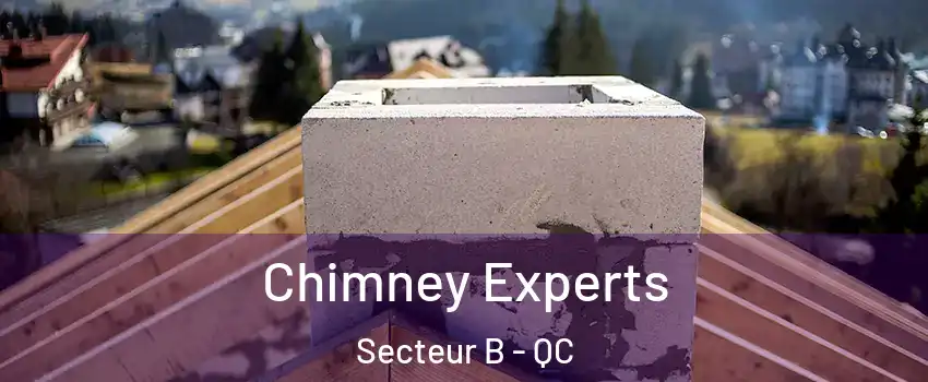  Chimney Experts Secteur B - QC
