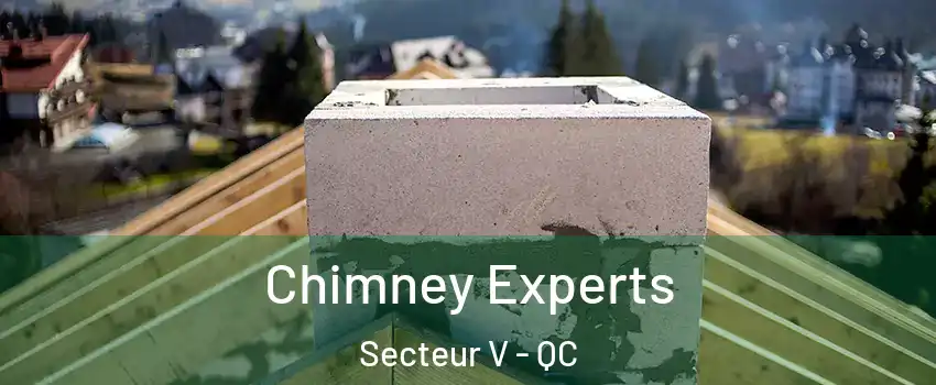  Chimney Experts Secteur V - QC