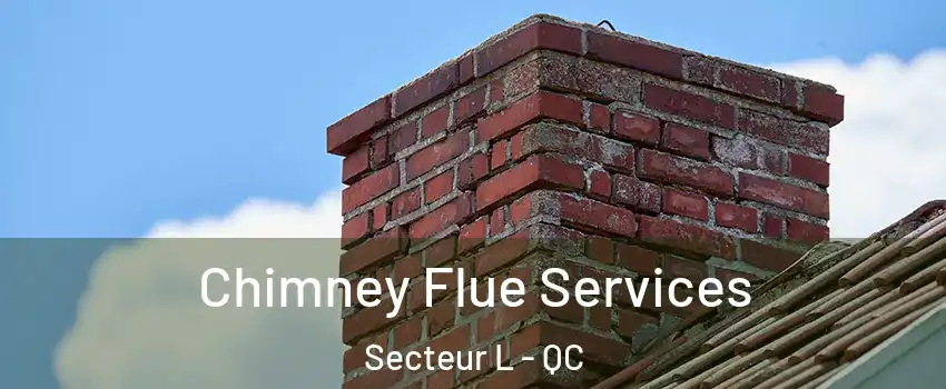  Chimney Flue Services Secteur L - QC