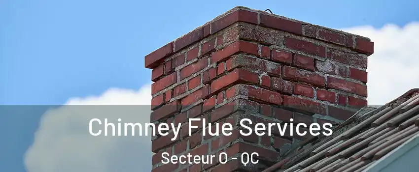  Chimney Flue Services Secteur O - QC