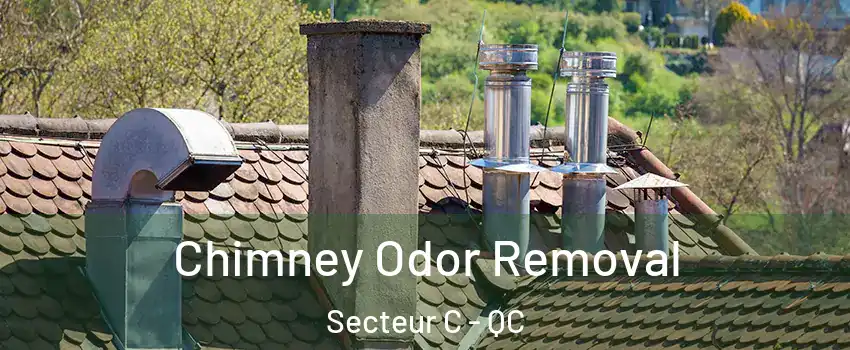  Chimney Odor Removal Secteur C - QC