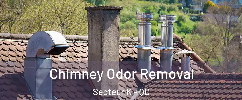 Chimney Odor Removal Secteur K - QC
