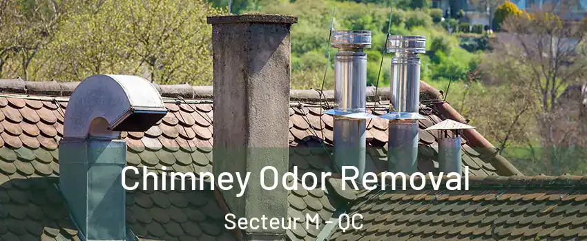 Chimney Odor Removal Secteur M - QC