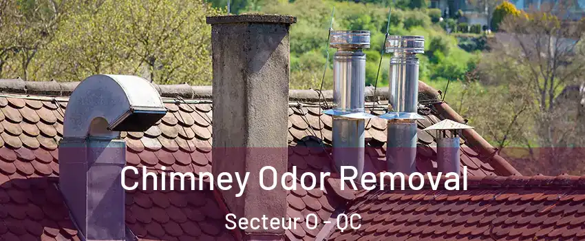  Chimney Odor Removal Secteur O - QC
