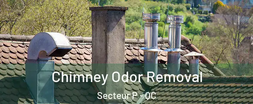  Chimney Odor Removal Secteur P - QC
