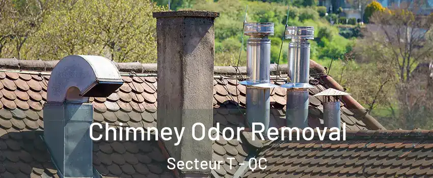  Chimney Odor Removal Secteur T - QC