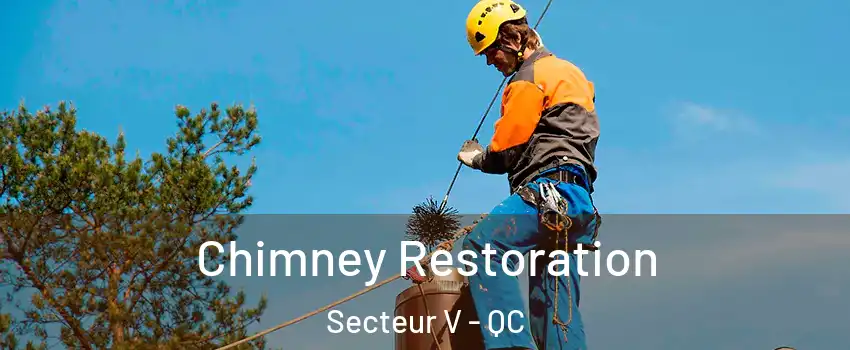  Chimney Restoration Secteur V - QC