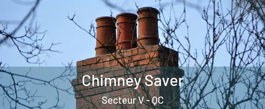  Chimney Saver Secteur V - QC