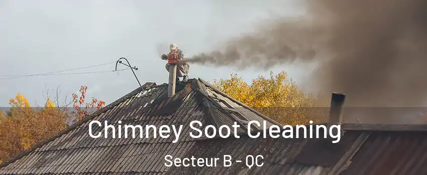  Chimney Soot Cleaning Secteur B - QC