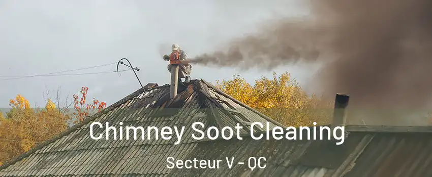  Chimney Soot Cleaning Secteur V - QC