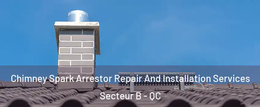  Chimney Spark Arrestor Repair And Installation Services Secteur B - QC