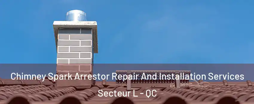  Chimney Spark Arrestor Repair And Installation Services Secteur L - QC