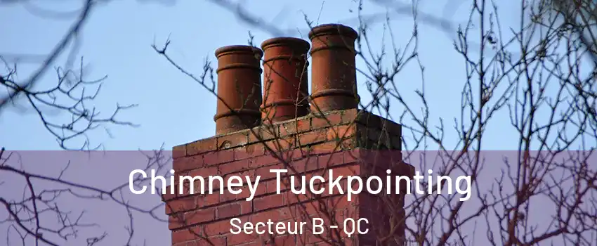  Chimney Tuckpointing Secteur B - QC