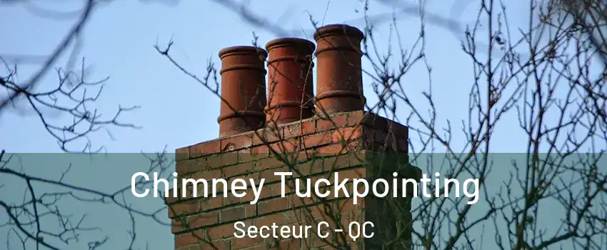  Chimney Tuckpointing Secteur C - QC