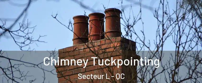  Chimney Tuckpointing Secteur L - QC