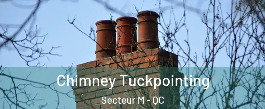  Chimney Tuckpointing Secteur M - QC