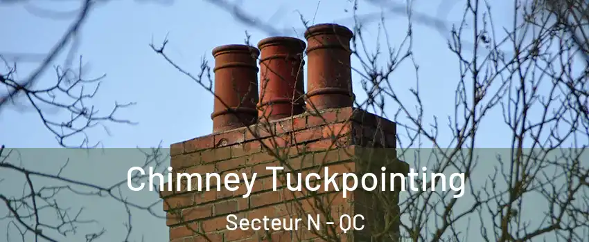 Chimney Tuckpointing Secteur N - QC